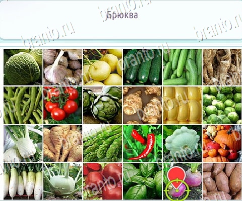 Подсказки на игру Горячо-Холодно-2 ВК Уровень 213