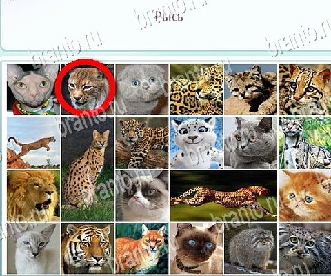 Решения на игру Горячо-Холодно-2 в контакте Уровень 214