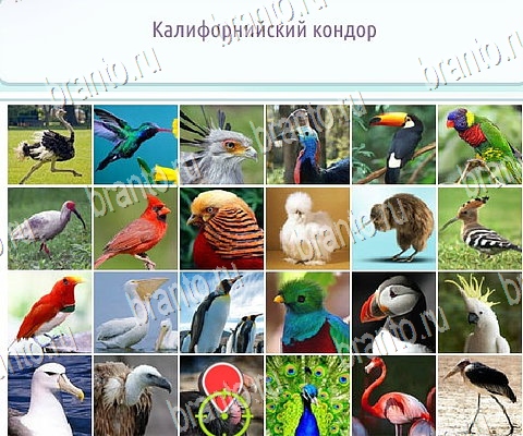 решебник на игру Горячо-Холодно-2 Уровень 222