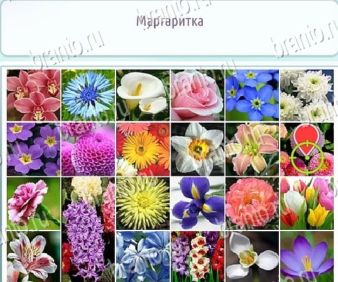 Горячо-Холодно-2 решения Уровень 233