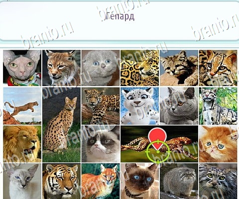 ВК Горячо-Холодно-2 ответы Уровень 249