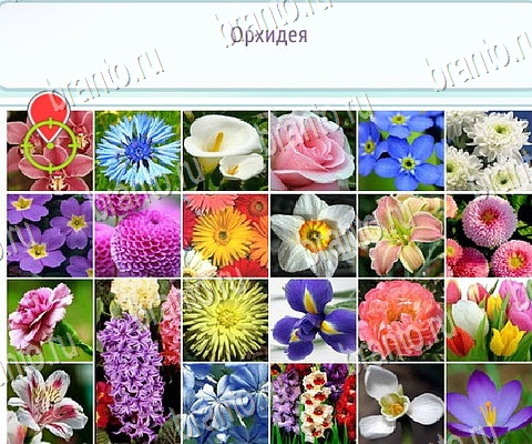 игра Горячо-Холодно-2 ответы в одноклассниках на Уровень 261