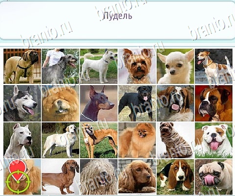 Горячо-Холодно-2 игра ответы Уровень 264