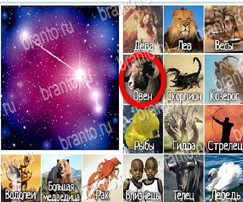 Горячо-Холодно-2 игра ответы в одноклассниках Уровень 278