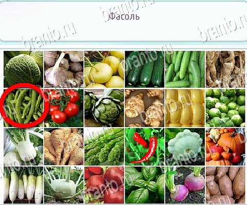 Горячо-Холодно-2 подсказки в контакте Уровень 280