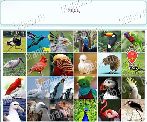 решебник на игру Горячо-Холодно-2 Уровень 282