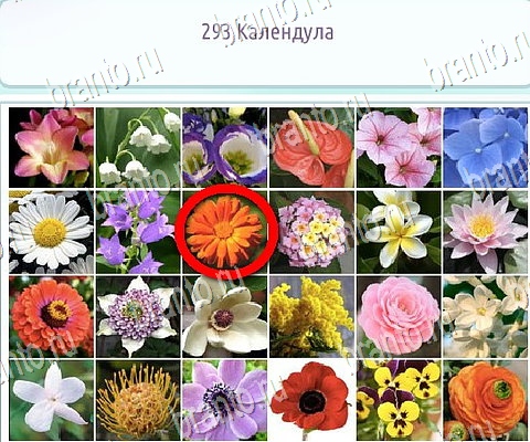 Горячо-Холодно-2 решения Уровень 293