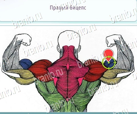 Подсказки на игру Горячо-Холодно-2 ВК Уровень 303