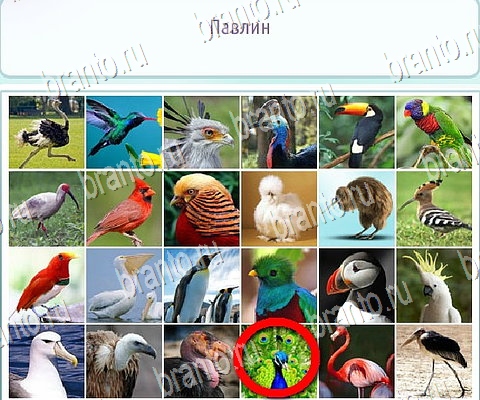 Помощь на игру ВК Горячо-Холодно-2 Уровень 305