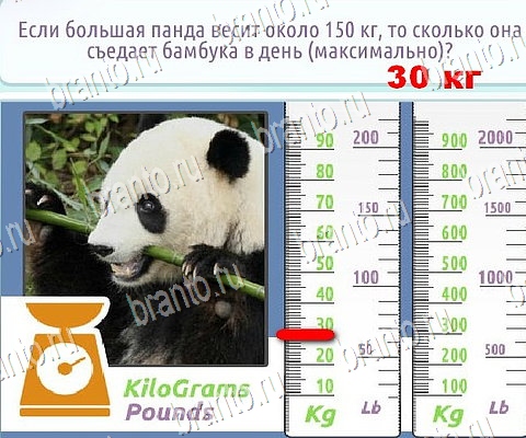 Горячо-Холодно-2 подсказки в контакте Уровень 310