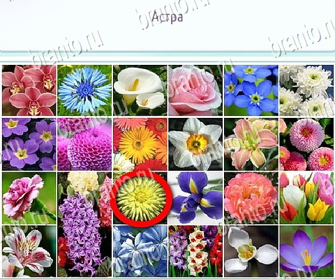 игра Горячо-Холодно-2 ответы в одноклассниках на Уровень 321