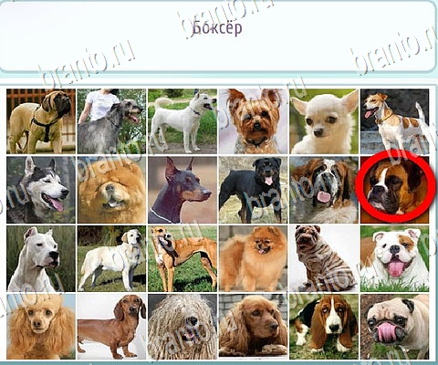 Горячо-Холодно-2 игра ответы Уровень 324