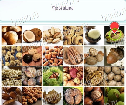 ответы на игру Горячо-Холодно-2 в одноклассниках Уровень 331