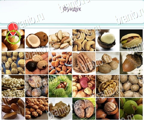 решебник на игру Горячо-Холодно-2 Уровень 342