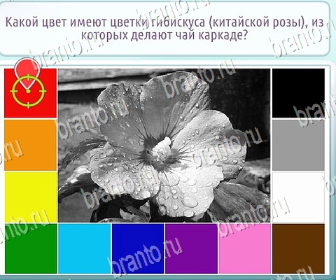 игра Горячо-Холодно-2 ответы в одноклассниках на Уровень 351