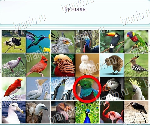 Помощь на игру ВК Горячо-Холодно-2 Уровень 365