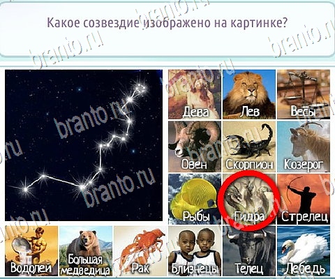 Горячо-Холодно-2 игра ответы в одноклассниках Уровень 368