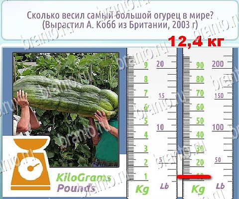 Горячо-Холодно-2 подсказки в контакте Уровень 370