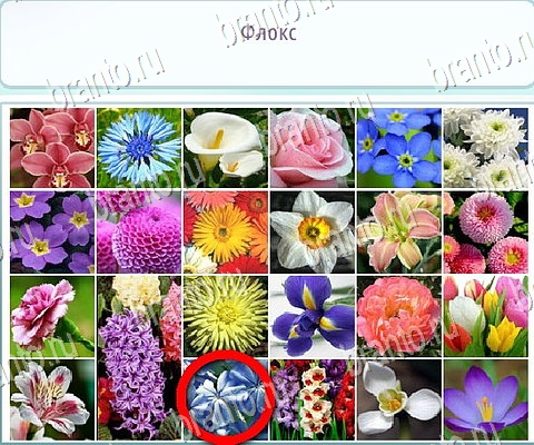 игра Горячо-Холодно-2 ответы в одноклассниках на Уровень 381