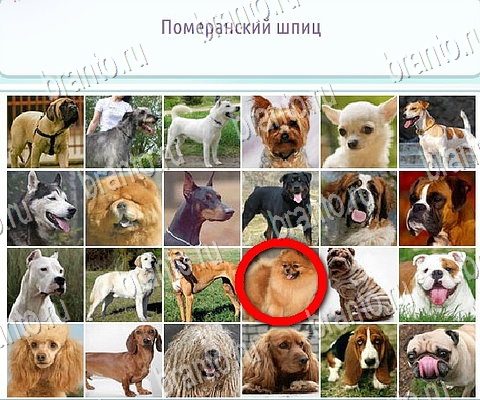 Горячо-Холодно-2 игра ответы Уровень 384