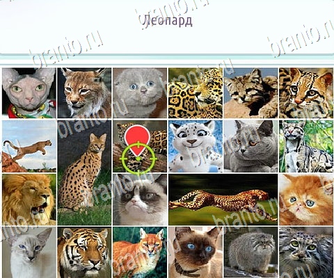 Решения на игру Горячо-Холодно-2 в контакте Уровень 394