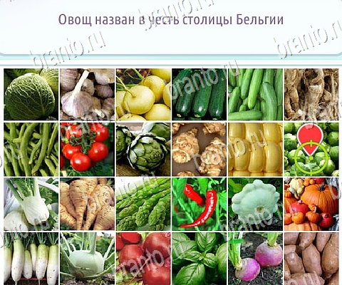 ВК Горячо-Холодно-2 ответы Уровень 399