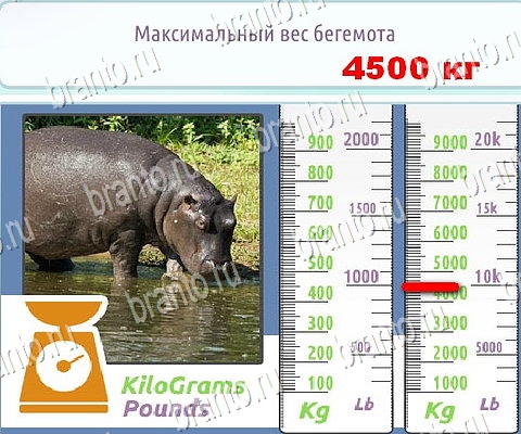 Горячо-Холодно-2 подсказки в контакте Уровень 400