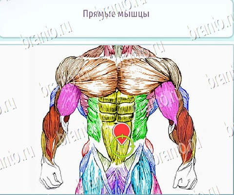 Горячо-Холодно-2 игра в одноклассниках помощь Уровень 406