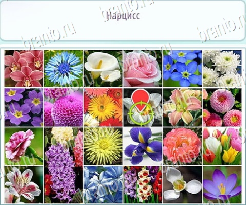 Горячо-Холодно-2 решения Уровень 413