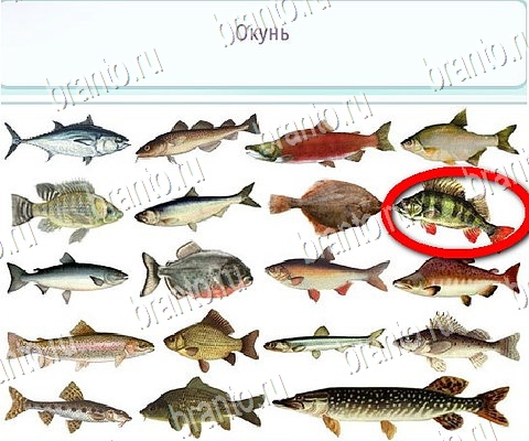 Горячо-Холодно-2 ответы в картинках Уровень 417