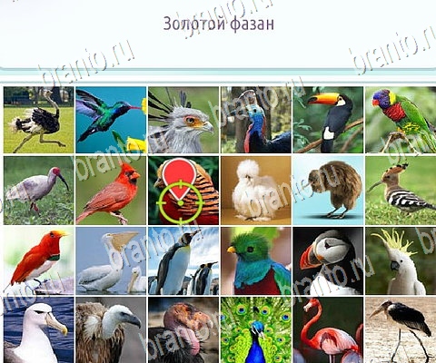 Помощь на игру ВК Горячо-Холодно-2 Уровень 425