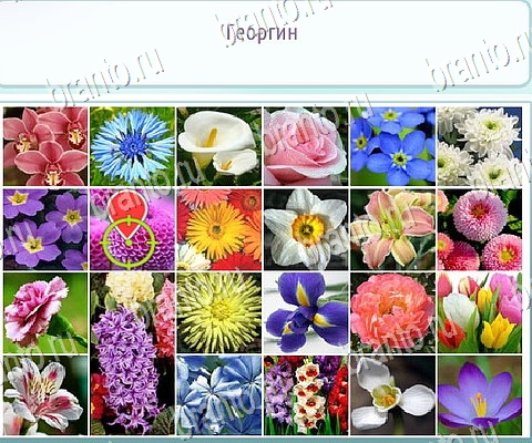 игра Горячо-Холодно-2 ответы в одноклассниках на Уровень 441