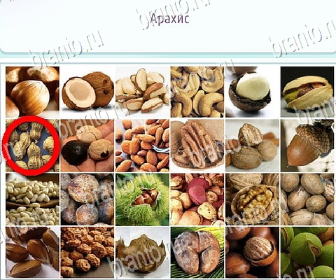 Горячо-Холодно-2 решения Уровень 443