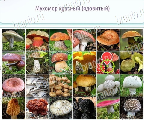 ответы на игру Горячо-Холодно-2 в одноклассниках Уровень 451