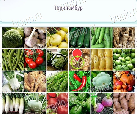 Подсказки на игру Горячо-Холодно-2 ВК Уровень 453