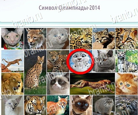 Решения на игру Горячо-Холодно-2 в контакте Уровень 454