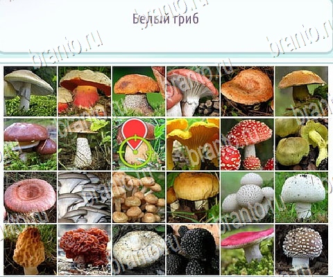 решебник на игру Горячо-Холодно-2 Уровень 462