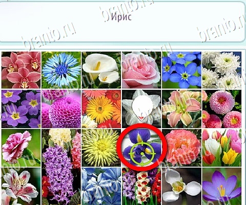 Горячо-Холодно-2 решения Уровень 473