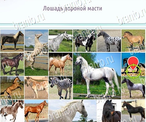 ответы на игру Горячо-Холодно-2 в одноклассниках Уровень 481