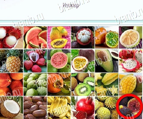 ответы на игру Горячо-Холодно-2 в одноклассниках Уровень 482