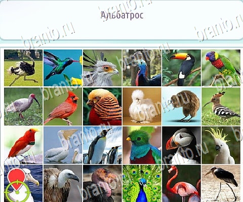 Помощь на игру ВК Горячо-Холодно-2 Уровень 485