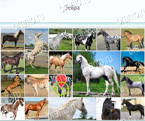 решебник на игру Горячо-Холодно-2 Уровень 492