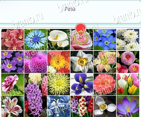 игра Горячо-Холодно-2 ответы в одноклассниках на Уровень 501