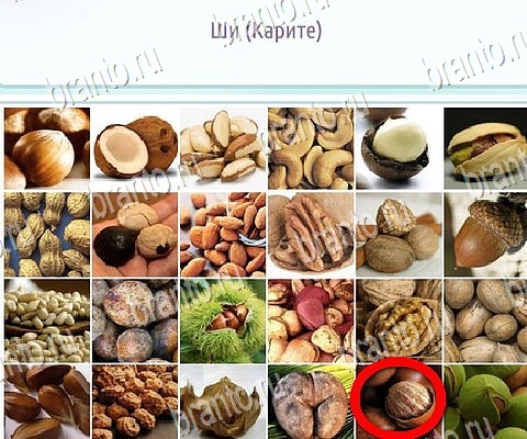 Горячо-Холодно-2 решения Уровень 503