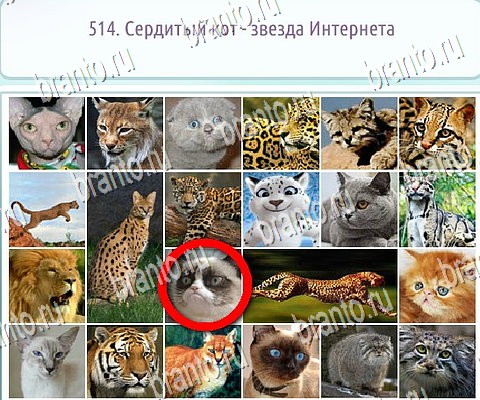 Решения на игру Горячо-Холодно-2 в контакте Уровень 514