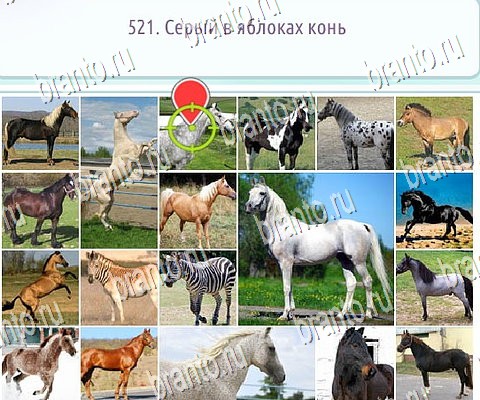 игра Горячо-Холодно-2 ответ на Уровень 521