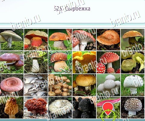 Горячо-Холодно-2 игра подсказки Уровень 525