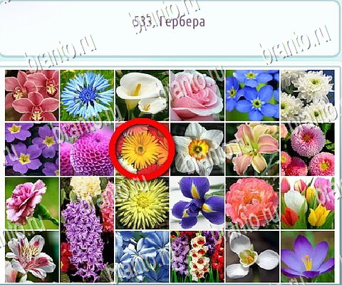 Горячо-Холодно-2 решения Уровень 533