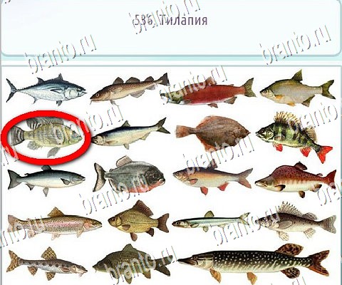 Горячо-Холодно-2 игра помощь в контакте Уровень 536