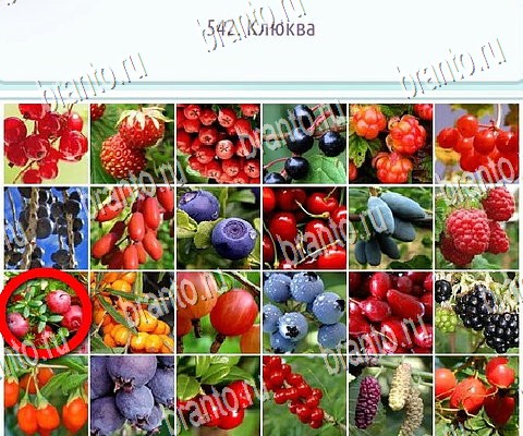 ответы на игру Горячо-Холодно-2 в одноклассниках Уровень 542